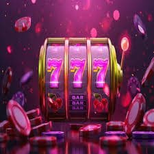 rajtek24